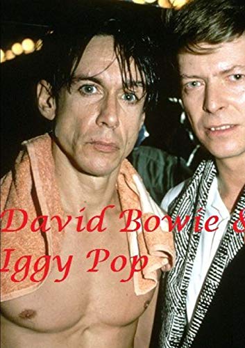 David Bowie & Iggy Pop von Lulu