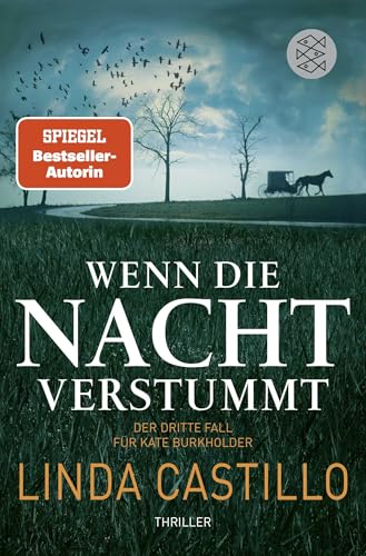 Wenn die Nacht verstummt: Thriller | Spannender Thriller bei den Amischen