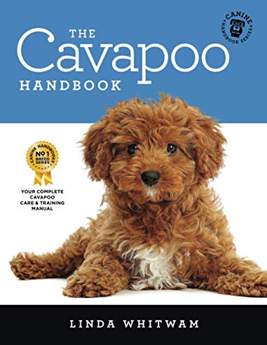 The Cavapoo Handbook: The Essential Guide for New & Prospective Cavapoo Owners (Canine Handbooks) von Independently published