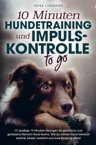 10 Minuten Hundetraining von Du und dein Hund Verlag
