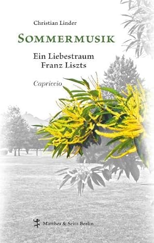 Sommermusik: Ein Liebestraum Franz Liszts. Capriccio