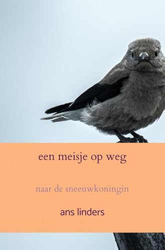 een meisje op weg: naar de sneeuwkoningin von Uitgeverij Heijink