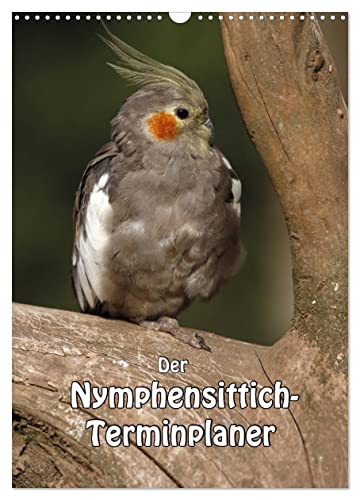 Der Nymphensittich-Terminplaner (Wandkalender 2025 DIN A3 hoch), CALVENDO Monatskalender von CALVENDO