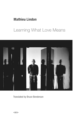 Learning What Love Means (Semiotext(e) / Native Agents) von Semiotext(e)
