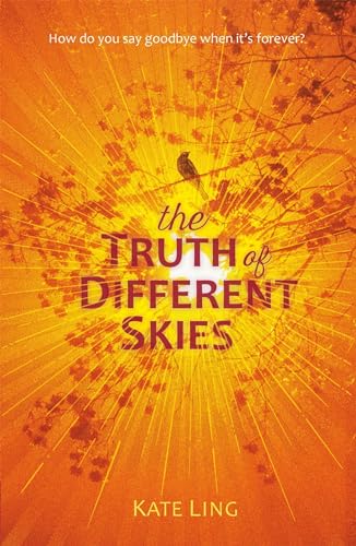 Ventura Saga: The Truth of Different Skies: Book 3 von LITTLE, BROWN