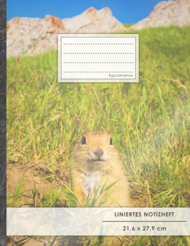 Liniertes Notizbuch • A4-Format, 100+ Seiten, Soft Cover, Register, Mit Rand, „Asien Tour“ • Original #GoodMemos Lined Notebook • Perfekt als Deutschheft, Schulheft, Übungsheft, Lineatur 27 Liniertes Notizbuch • A4-Format, 100+ Seiten, Soft Cover, Register, Mit Rand, „Asien Tour“ • Original #GoodMemos Lined Notebook • Perfekt als Deutschheft, Schulheft, Übungsheft, Lineatur 27