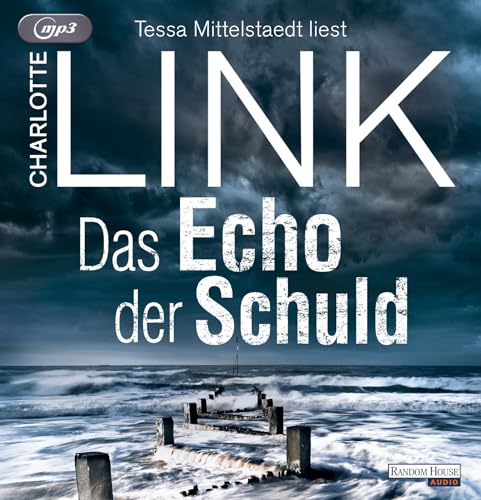 Das Echo der Schuld: Kriminalroman