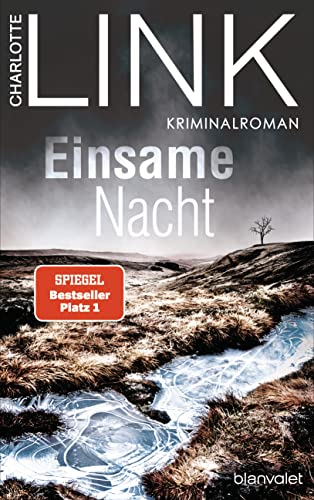 Einsame Nacht: Kriminalroman (Die Kate-Linville-Reihe, Band 4)