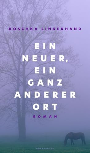 Ein neuer, ein ganz anderer Ort: Roman von Querverlag