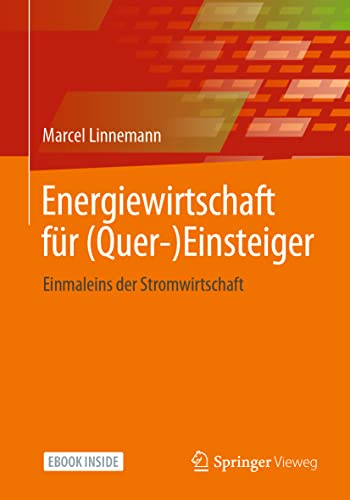 Energiewirtschaft für (Quer-)Einsteiger: Einmaleins der Stromwirtschaft von Springer