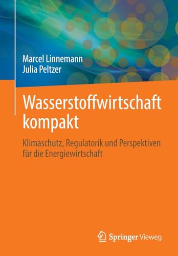 Wasserstoffwirtschaft kompakt: Klimaschutz, Regulatorik und Perspektiven für die Energiewirtschaft von Springer Vieweg