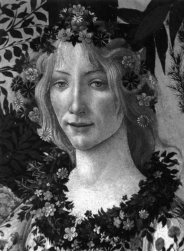 Botticelli: Collector's edition. (Phaidon Classics)