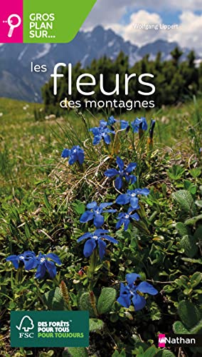 Gros plan sur les fleurs des montagnes von NATHAN