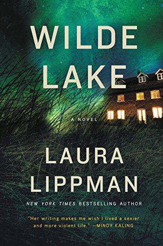 Wilde Lake: A Novel