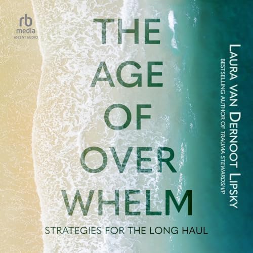 The Age of Overwhelm: Strategies for the Long Haul von Blackstone Pub