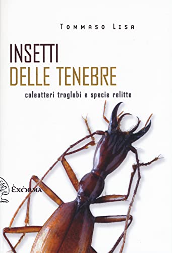 Insetti delle tenebre. Coleotteri troglobi e specie relitte (Scritti traversi) von Exòrma