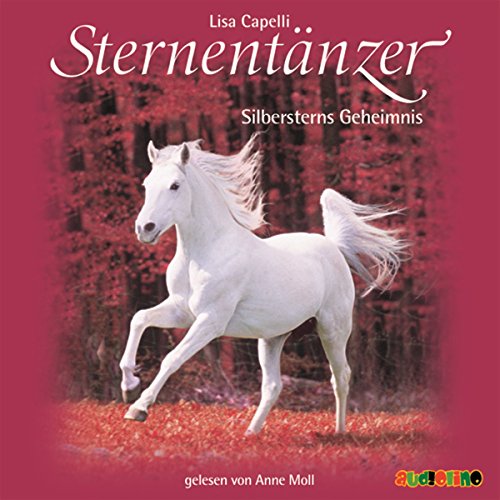 Sternentänzer: Silbersterns Geheimnis CD von Wildschuetz