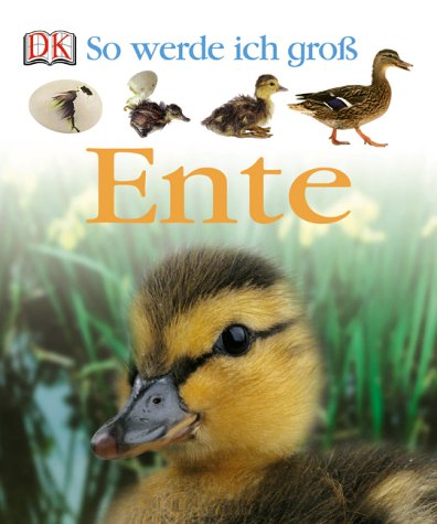 Ente