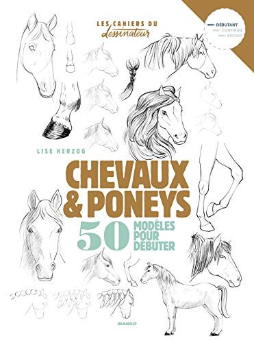 Dessiner chevaux et poneys: 50 modèles pour débuter le dessin von MANGO