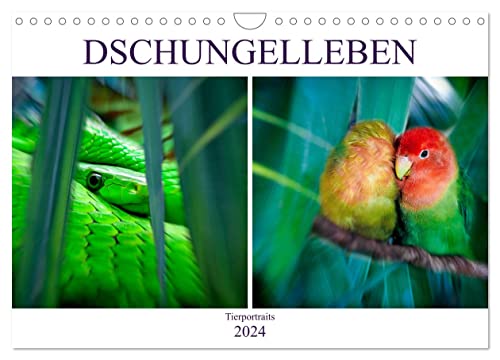Dschungelleben - Tierportraits (Wandkalender 2024 DIN A4 quer), CALVENDO Monatskalender von CALVENDO