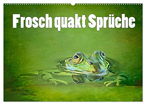 Frosch quakt Sprüche (Wandkalender 2025 DIN A2 quer), CALVENDO Monatskalender von CALVENDO