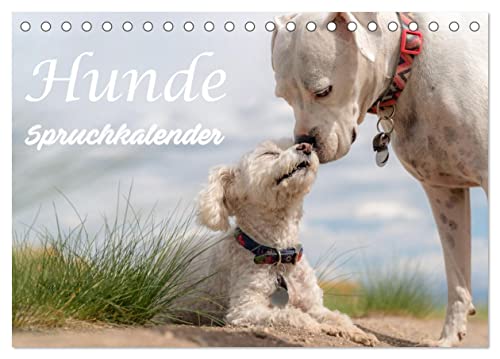 Hunde Spruchkalender (Tischkalender 2024 DIN A5 quer), CALVENDO Monatskalender von CALVENDO