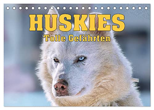 Huskies - Tolle Gefährten (Tischkalender 2024 DIN A5 quer), CALVENDO Monatskalender von CALVENDO