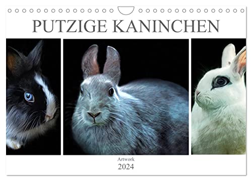 Putzige Kaninchen - Artwork (Wandkalender 2024 DIN A4 quer), CALVENDO Monatskalender von CALVENDO