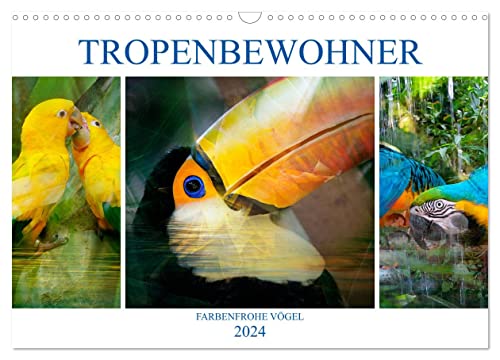 Tropenbewohner - farbenfrohe Vögel (Wandkalender 2024 DIN A3 quer), CALVENDO Monatskalender von CALVENDO