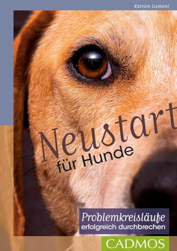 Neustart für Hunde: Problemkreisläufe erfolgreich durchbrechen