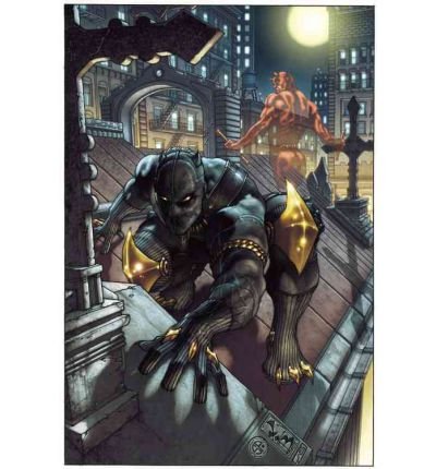 Black Panther Man without Fear by Liss, David ( Author ) ON Jul-27-2011, Paperback