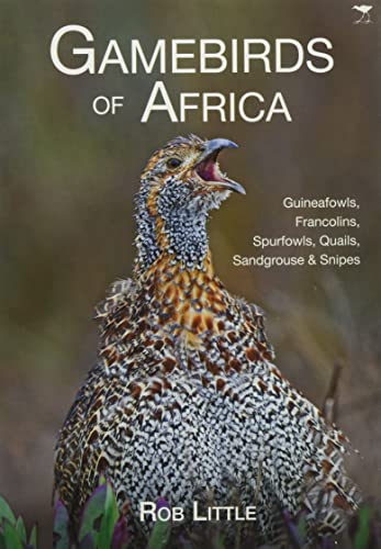 Gamebirds of Africa: Guineafowls, Francolins, Spurfowls, Quails, Sandgrouse & Snipes von Jacana Media