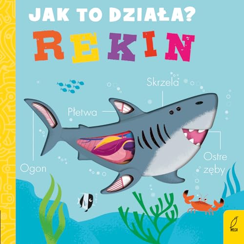 Jak to działa Rekin von Wilga