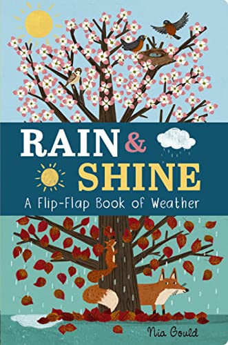 Rain & Shine: A Flip-Flap Book of Weather (Flip-Flap Books)