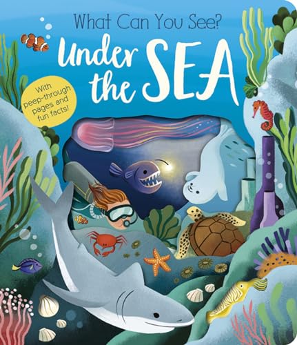 What Can You See? Under the Sea von Little Tiger