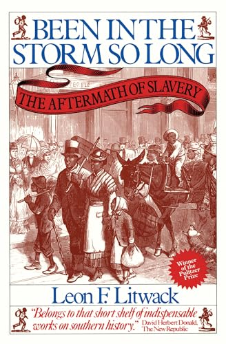 Been in the Storm So Long: The Aftermath of Slavery von Vintage