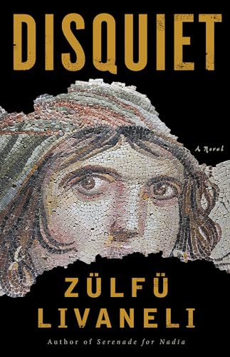 Disquiet: A Novel von Other Press