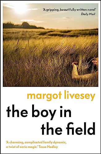 The Boy in the Field: 'A superb family drama' DAILY MAIL