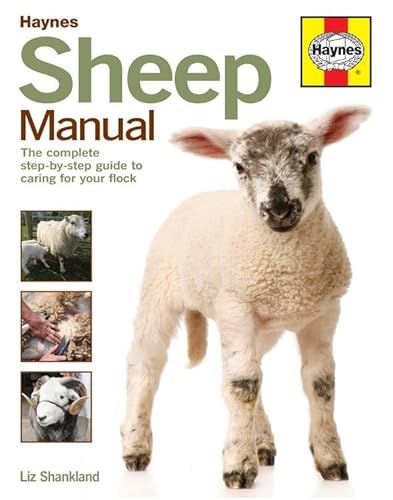 Sheep Manual: The complete step-by-step guide to caring for your flock: The Step-by-Step Guide to Caring for Your First Flock (Haynes Manuals) von J H Haynes & Co Ltd