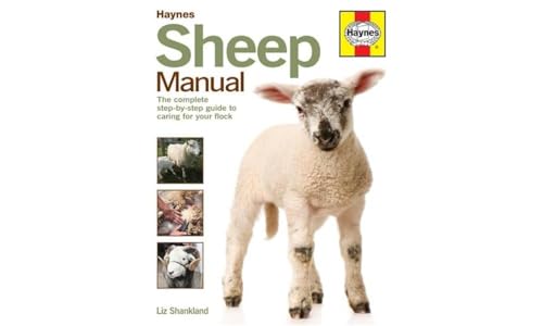 Sheep Manual: The complete step-by-step guide to caring for your flock: The Step-by-Step Guide to Caring for Your First Flock (Haynes Manuals)