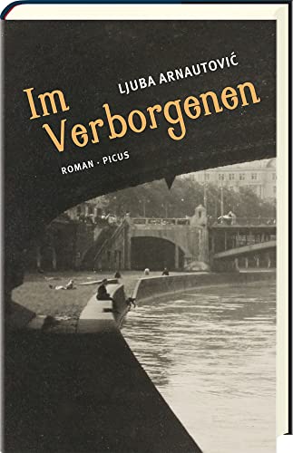 Im Verborgenen: Roman von Picus Verlag GmbH