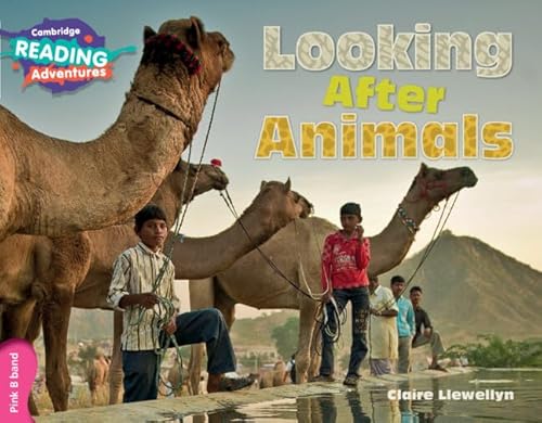 Looking After Animals (Cambridge Reading Adventures: Pink B Band)