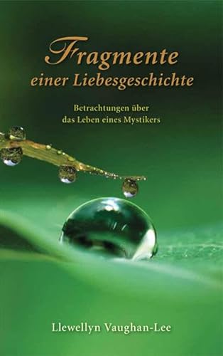 Fragmente einer Liebesgeschichte: Betrachtungen über das Leben eines Mystikers