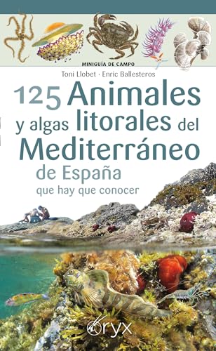 125 Animales y algas litorales del Mediterráneo de España que hay que conocer (Miniguía de campo) von Lectio Ediciones