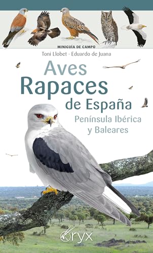 Aves rapaces de España, Península Ibérica y Baleares (Miniguía de campo) von Lectio Ediciones