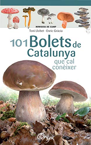 101 bolets de Catalunya: que cal conèixer (Miniguia de camp) von Cossetània Edicions