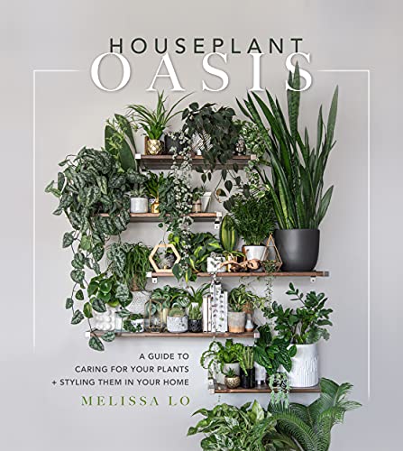 Houseplant Oasis: A Guide to Caring for Your Plants + Styling Them in Your Home von MacMillan (US)