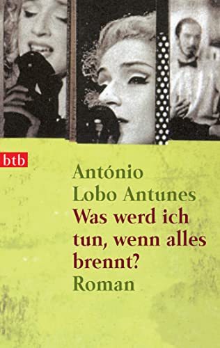 Was werd ich tun, wenn alles brennt?: Roman von btb Verlag