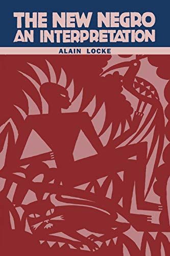 The New Negro: An Interpretation The New Negro: An Interpretation von Martino Fine Books