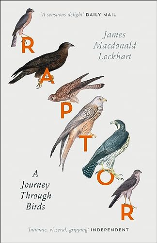 Raptor: A Journey Through Birds von Fourth Estate